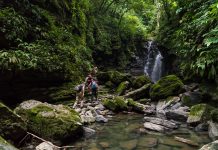 Top 20 Waterfall Hikes Bay Area USA: Full Details Waterfall Hikes Bay Area USA