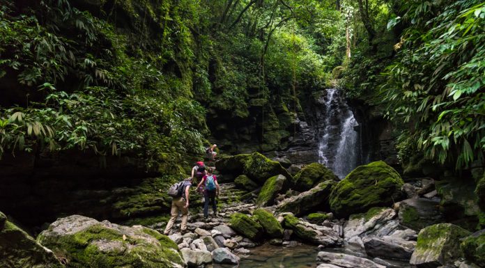 Top 20 Waterfall Hikes Bay Area USA: Full Details Waterfall Hikes Bay Area USA