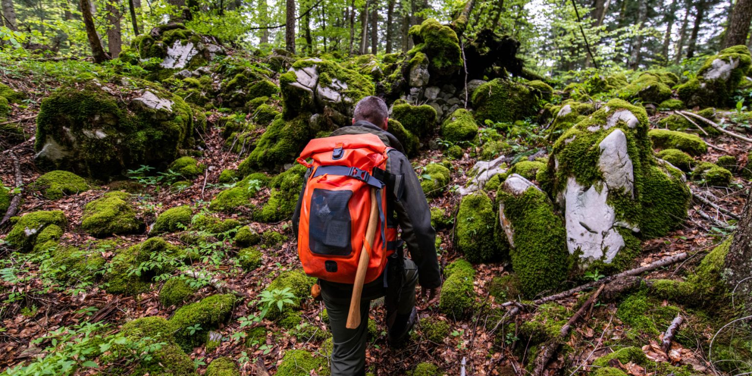 Climbing Challenging The Forest Climbing Axe